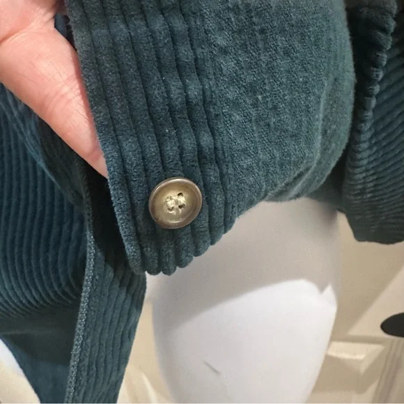 Looney Tunes Vintage Embroidered Tweety Bird Green Corduroy Shirt XL - Picture 5 of 10